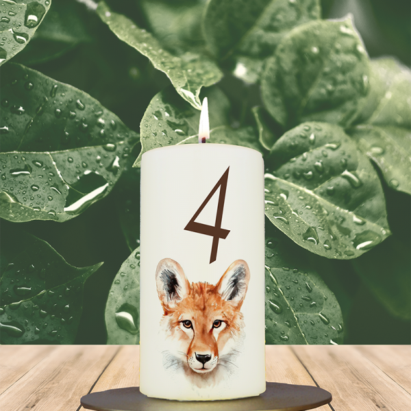 Weihnachtskerze 12x6cm Fuchs rot Waldtier 4
