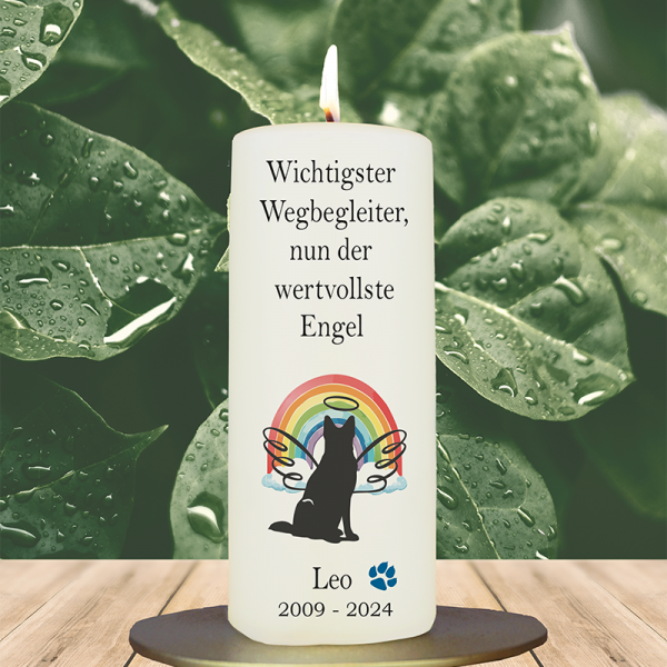 Trauer Tierkerze 15x6cm Hund 18