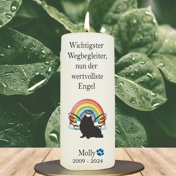 Trauer Tierkerze 15x6cm  Hund 20