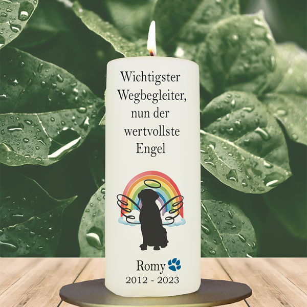 Trauer Tierkerze 15x6cm  Hund 5
