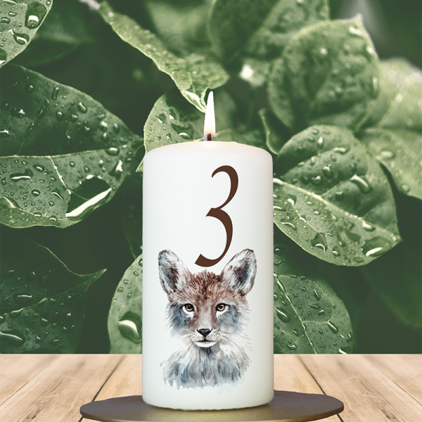 Weihnachtskerze 12x6cm Fuchs grau Waldtier 3