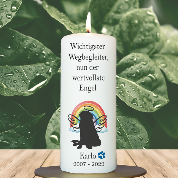 Trauer Tierkerze 15x6cm  Hund 6