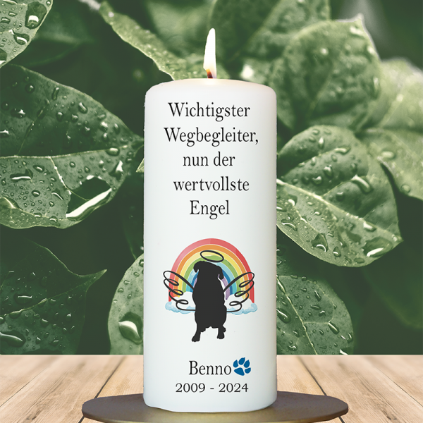 Trauer Tierkerze 15x6cm  Hund 7