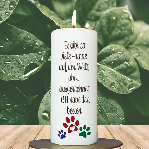 Tierkerze 15x6cm  Es gibt so viele Hunde
