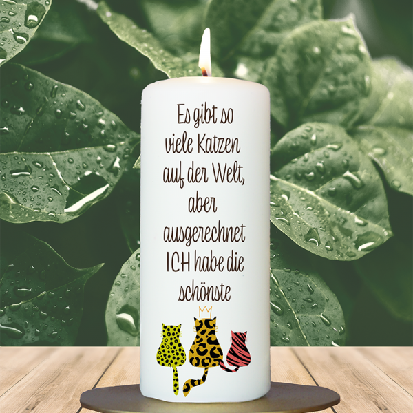 Tierkerze 15x6cm  Es gibt so viele Katzen